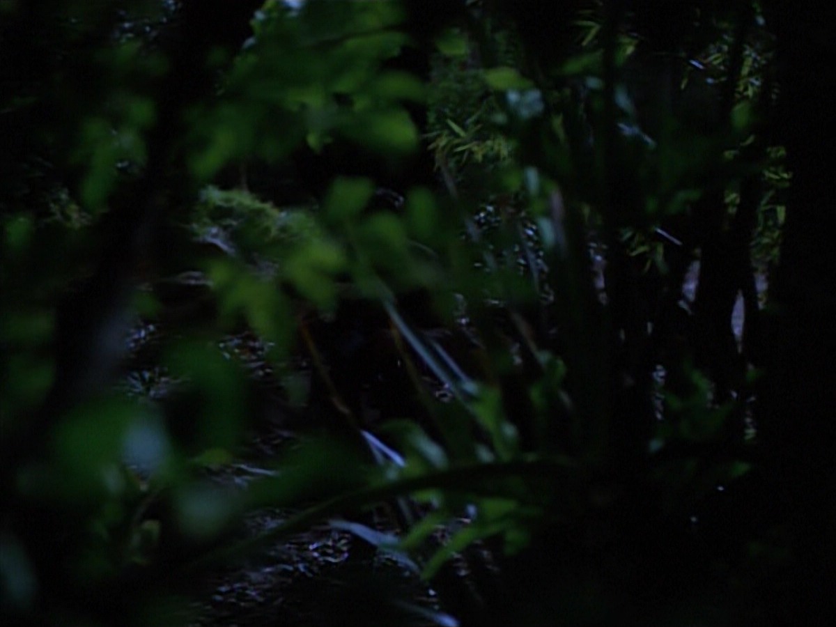 extant_StarTrekVoyager_4x04-Nemesis_0023.jpg