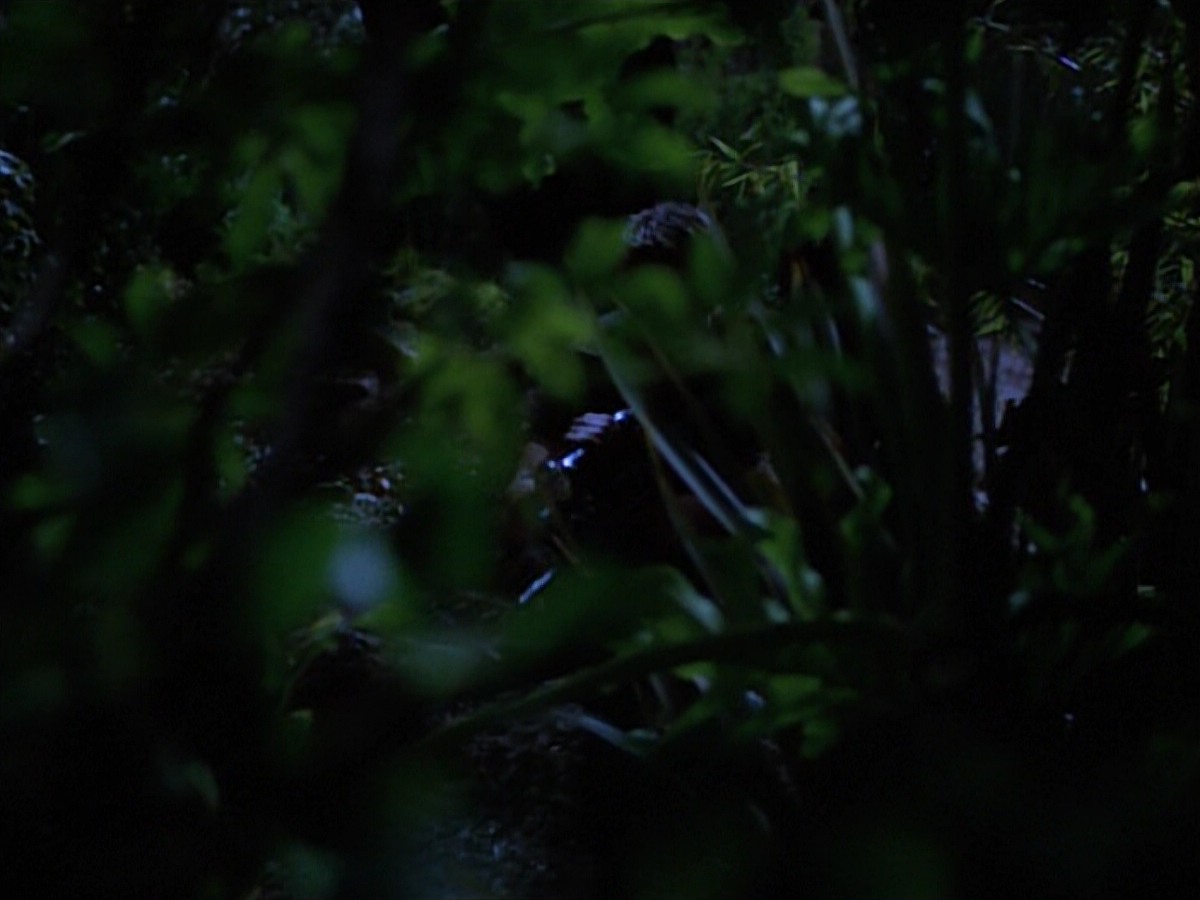 extant_StarTrekVoyager_4x04-Nemesis_0027.jpg