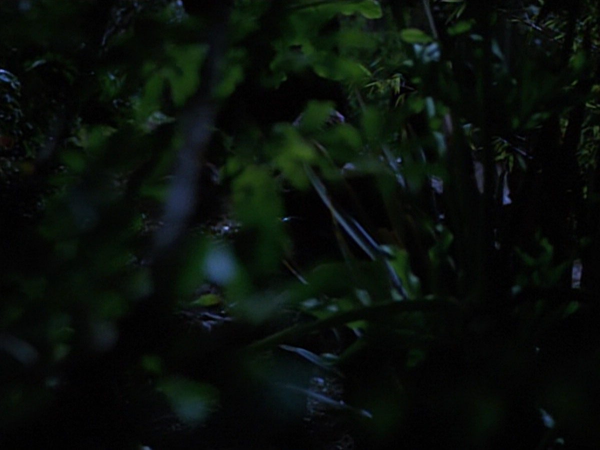 extant_StarTrekVoyager_4x04-Nemesis_0028.jpg