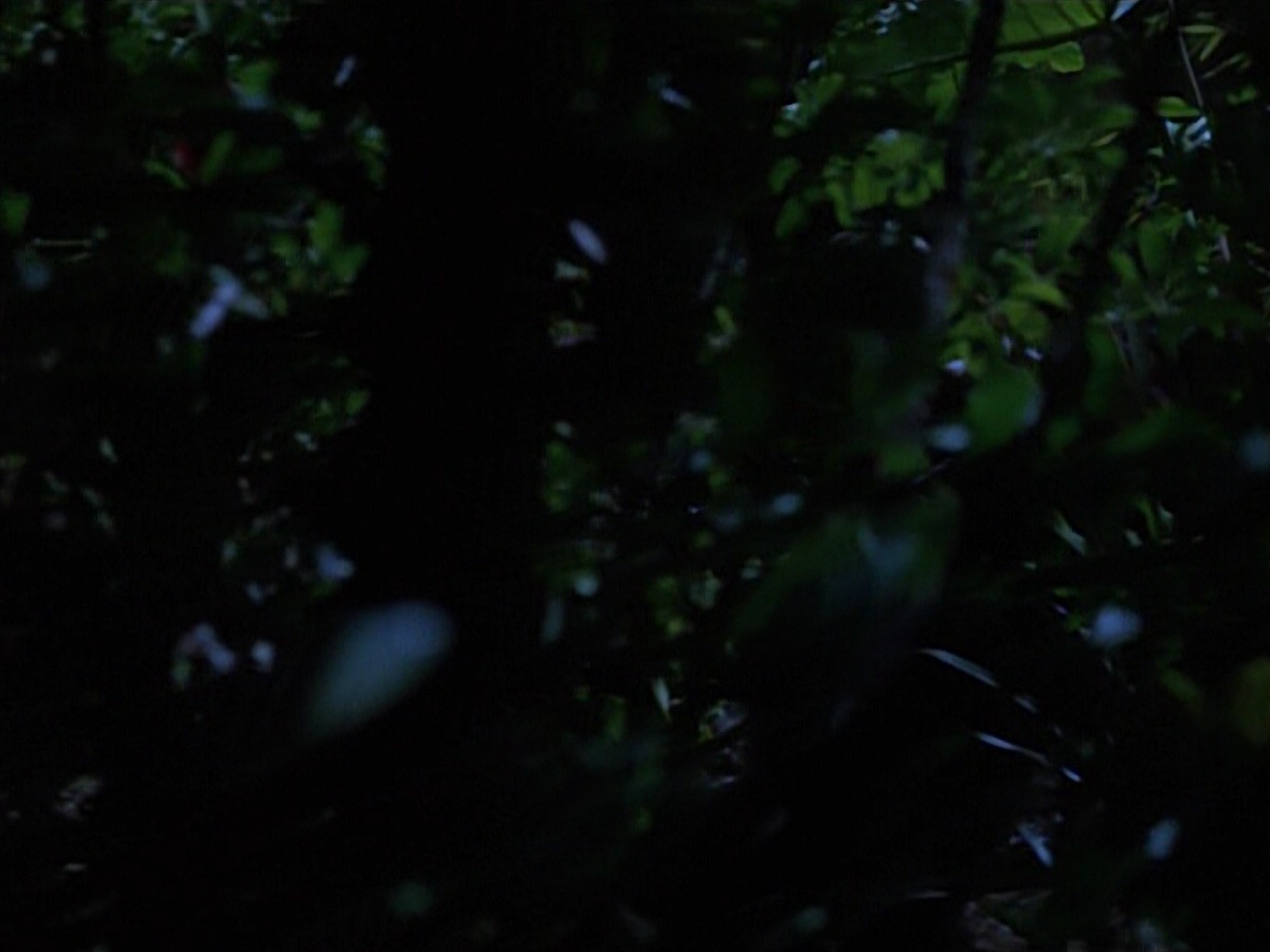 extant_StarTrekVoyager_4x04-Nemesis_0032.jpg