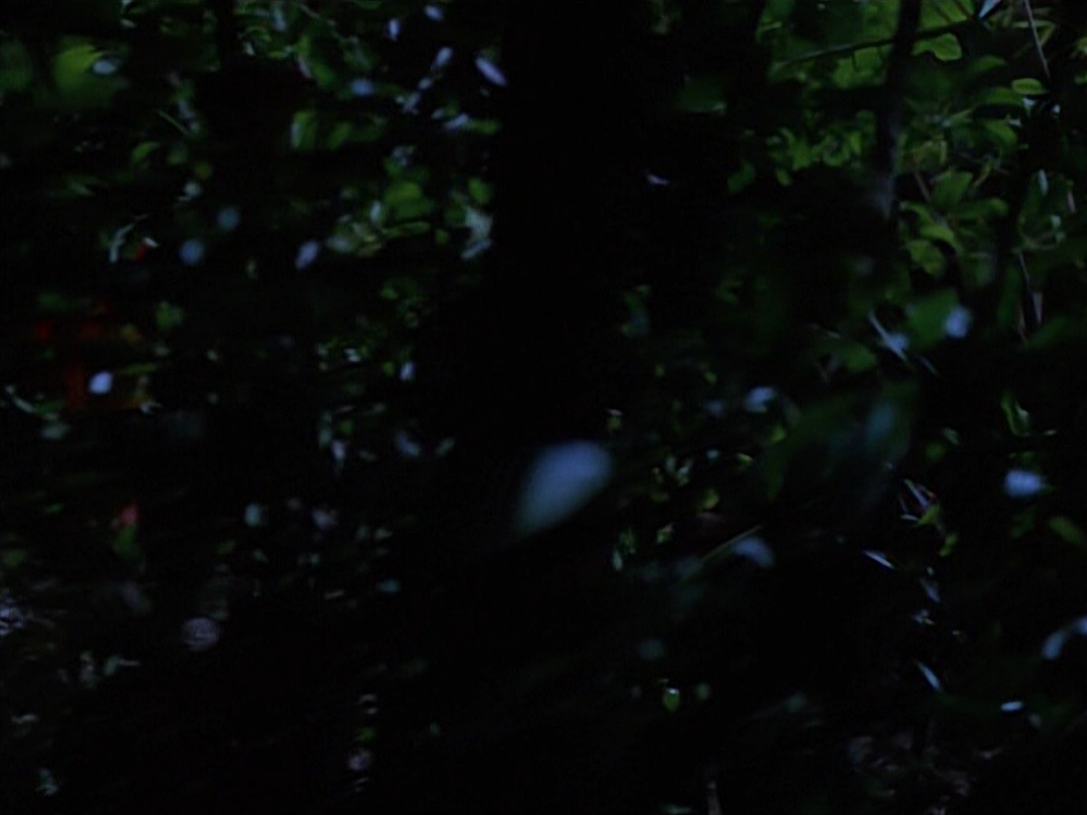 extant_StarTrekVoyager_4x04-Nemesis_0033.jpg