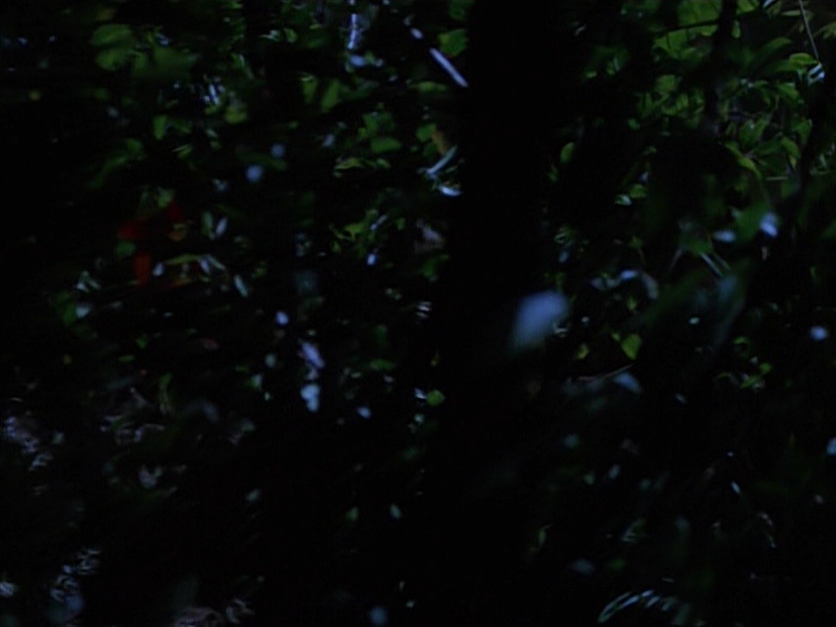 extant_StarTrekVoyager_4x04-Nemesis_0034.jpg