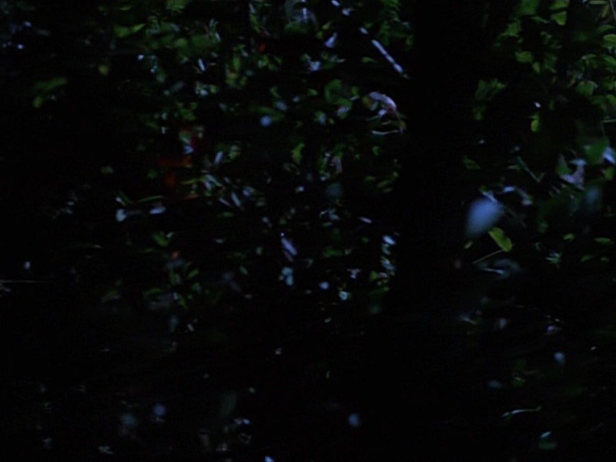extant_StarTrekVoyager_4x04-Nemesis_0035.jpg