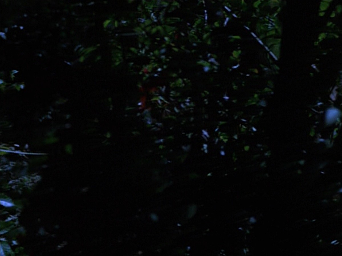 extant_StarTrekVoyager_4x04-Nemesis_0036.jpg