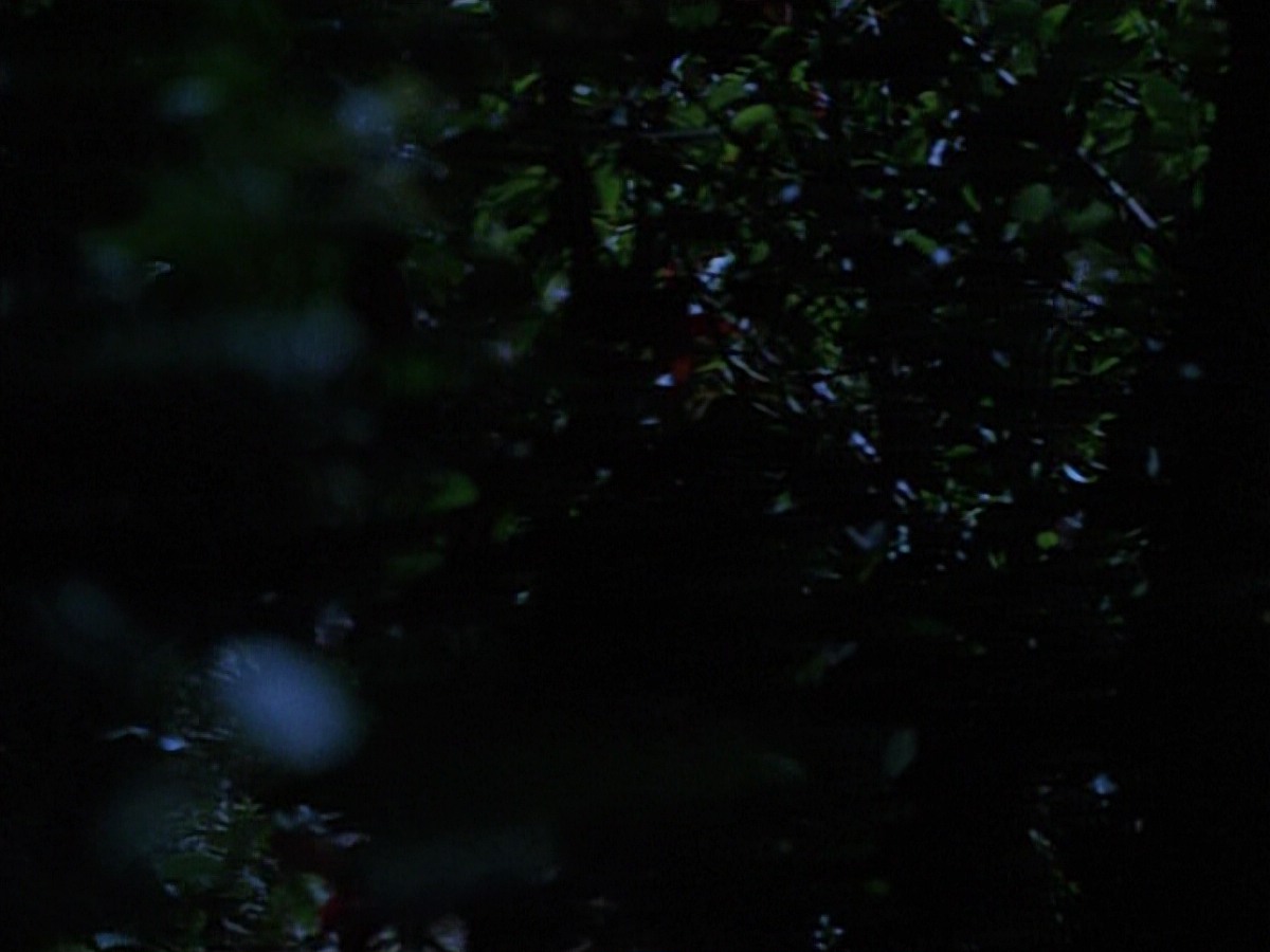 extant_StarTrekVoyager_4x04-Nemesis_0037.jpg