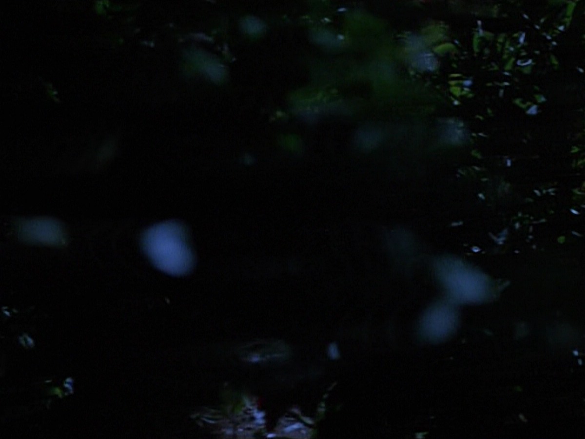 extant_StarTrekVoyager_4x04-Nemesis_0038.jpg
