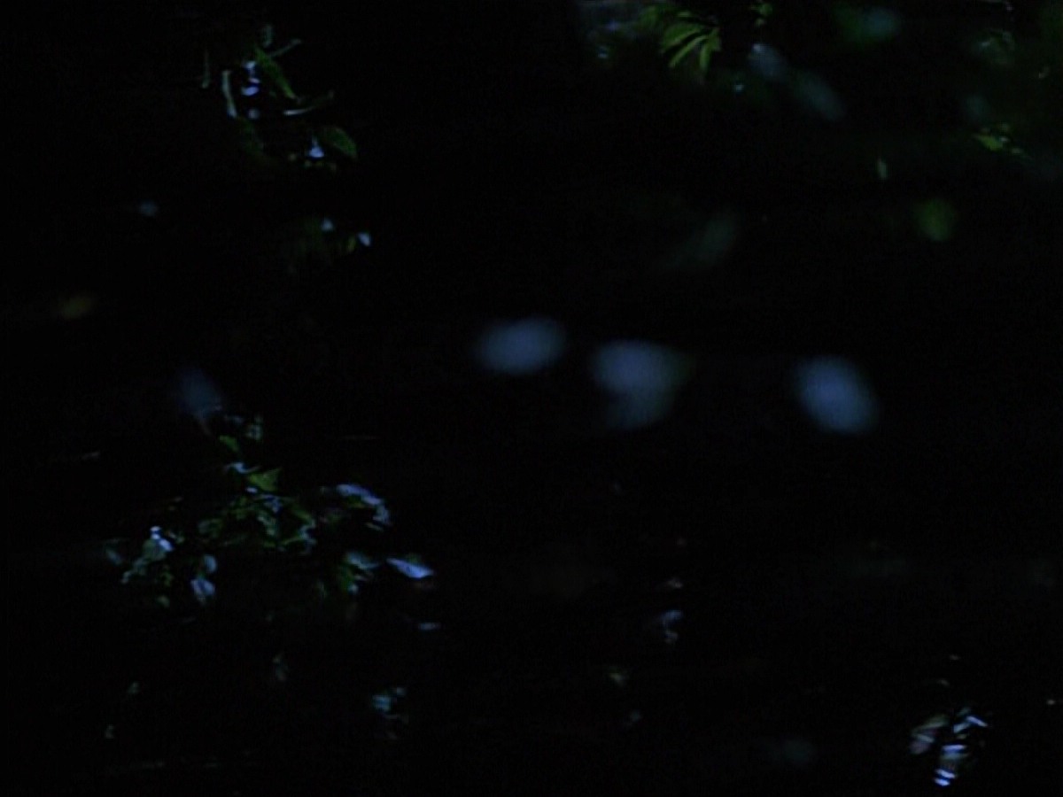 extant_StarTrekVoyager_4x04-Nemesis_0039.jpg