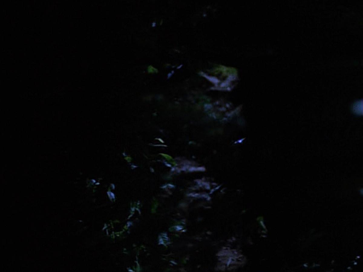 extant_StarTrekVoyager_4x04-Nemesis_0040.jpg