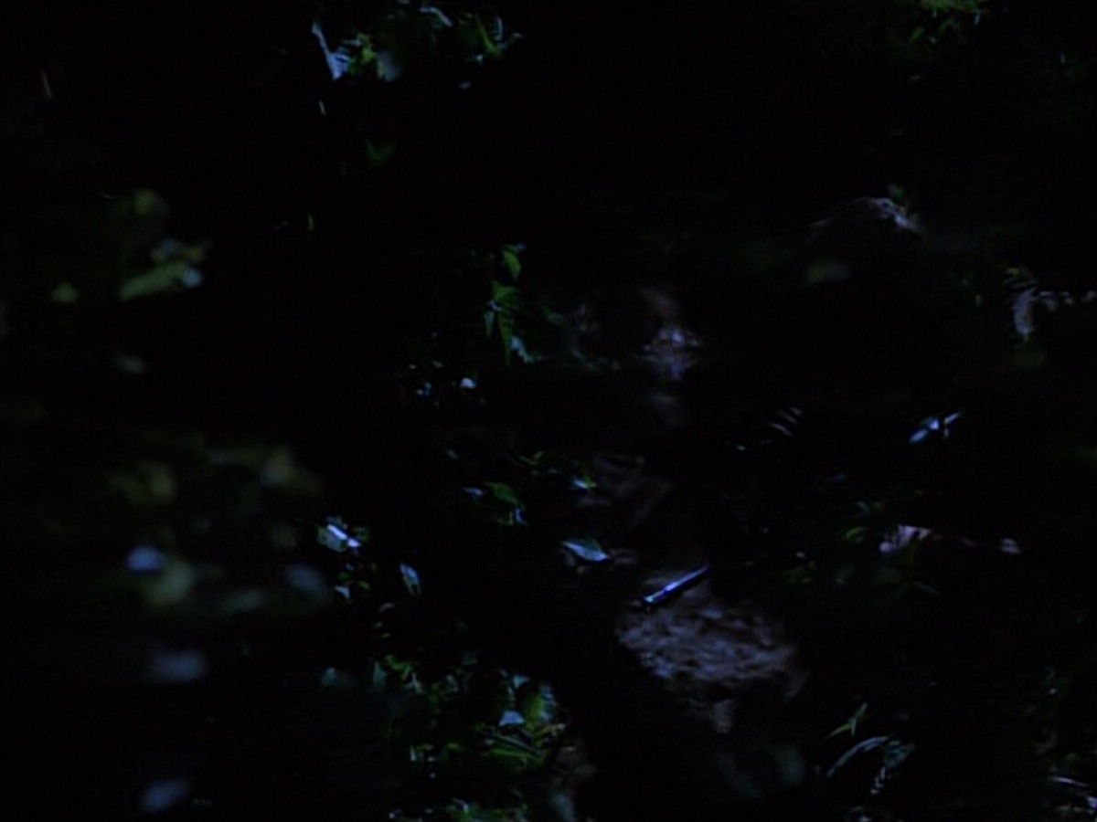 extant_StarTrekVoyager_4x04-Nemesis_0042.jpg