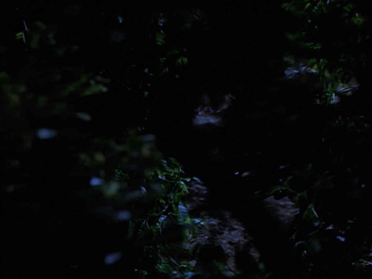 extant_StarTrekVoyager_4x04-Nemesis_0043.jpg