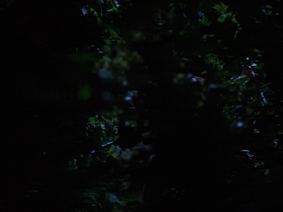 extant_StarTrekVoyager_4x04-Nemesis_0050.jpg