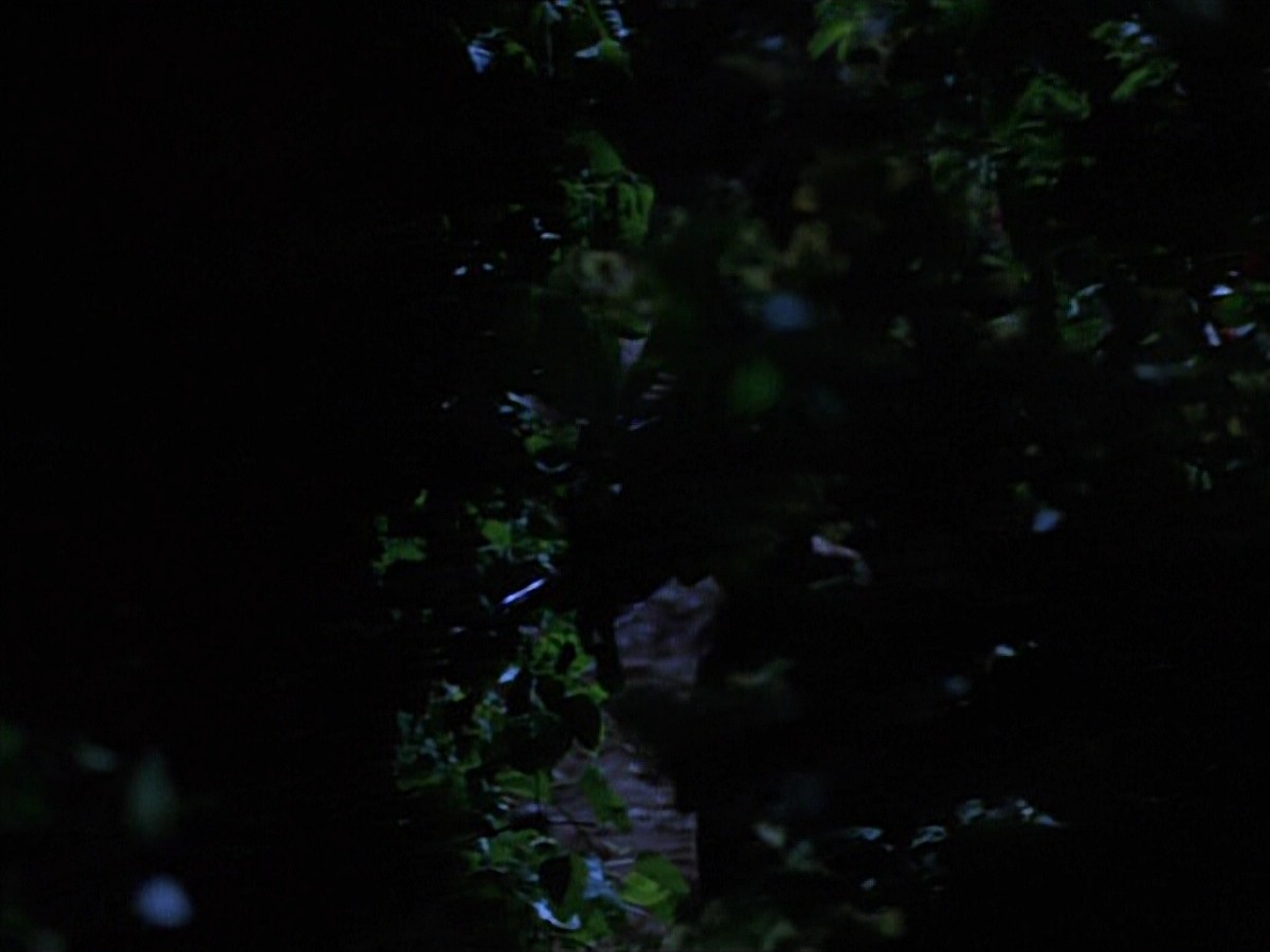 extant_StarTrekVoyager_4x04-Nemesis_0051.jpg