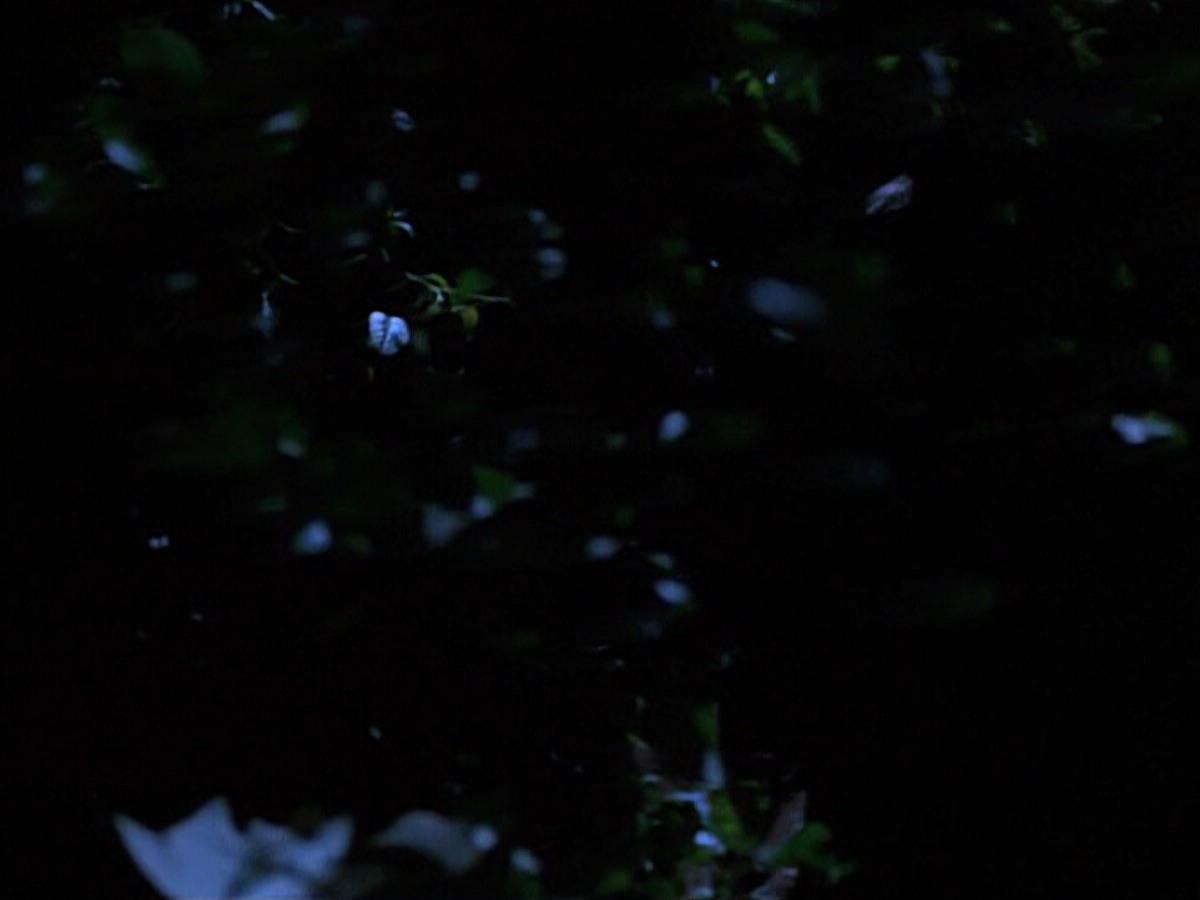 extant_StarTrekVoyager_4x04-Nemesis_0057.jpg
