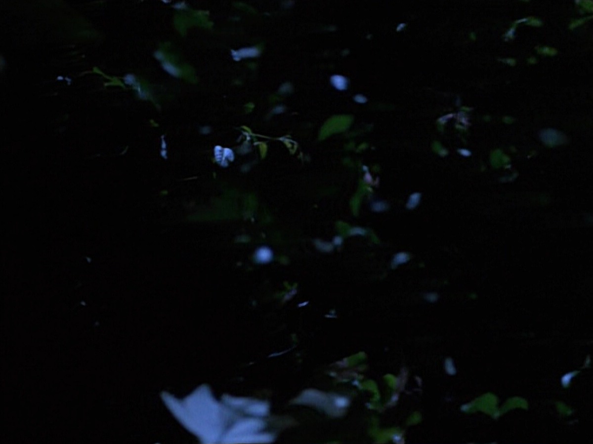 extant_StarTrekVoyager_4x04-Nemesis_0058.jpg