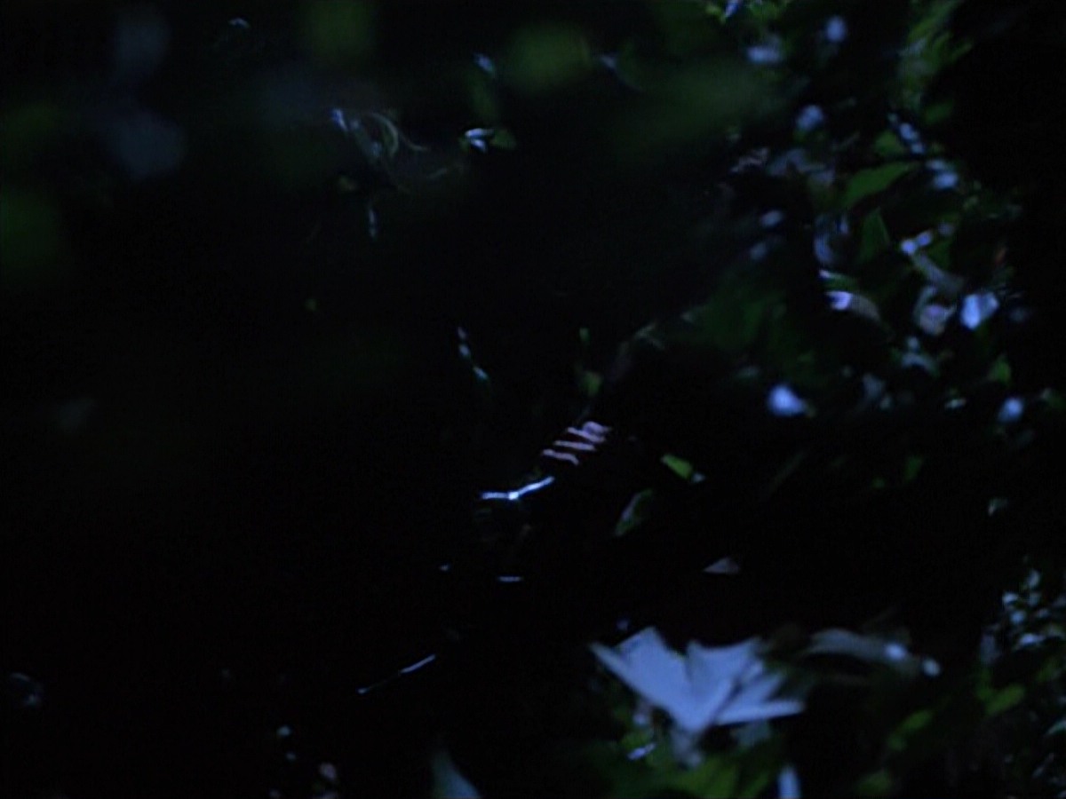 extant_StarTrekVoyager_4x04-Nemesis_0060.jpg