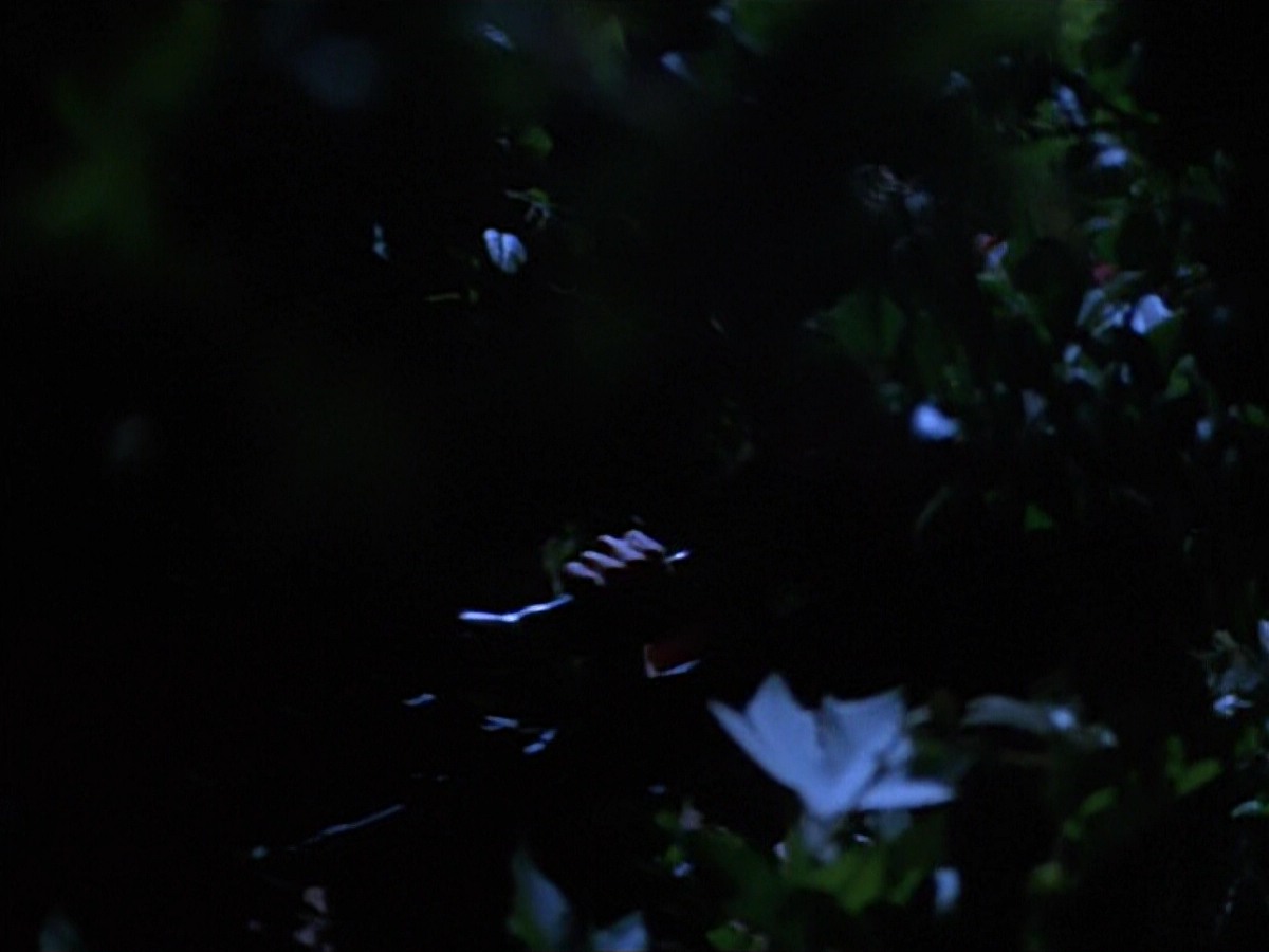 extant_StarTrekVoyager_4x04-Nemesis_0061.jpg