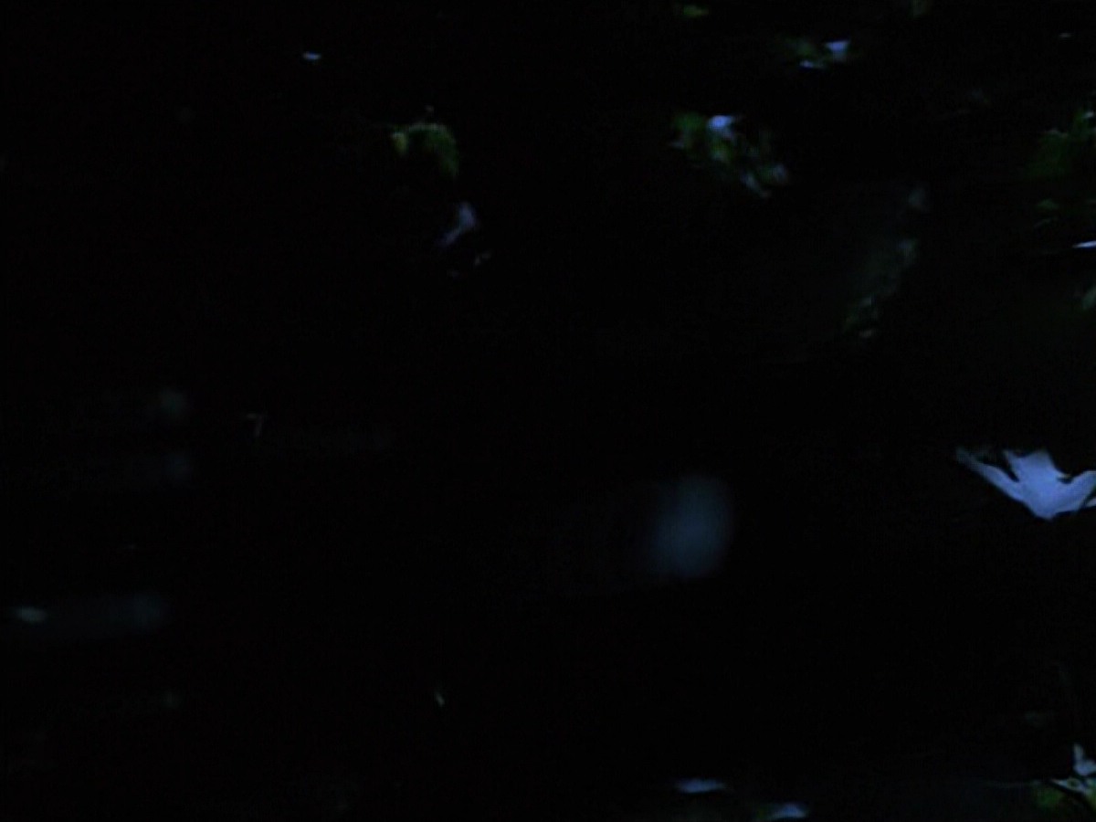 extant_StarTrekVoyager_4x04-Nemesis_0068.jpg