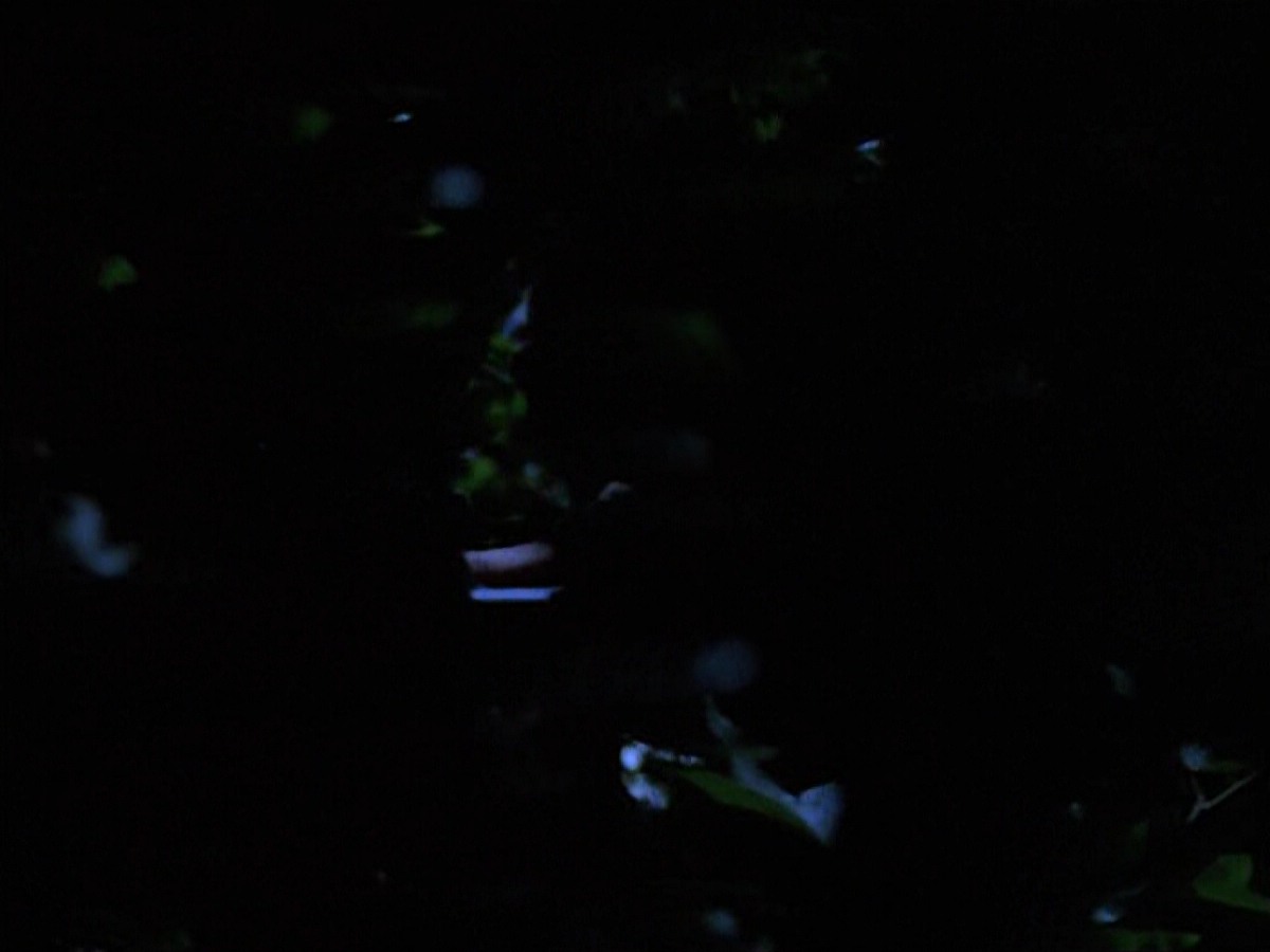 extant_StarTrekVoyager_4x04-Nemesis_0069.jpg