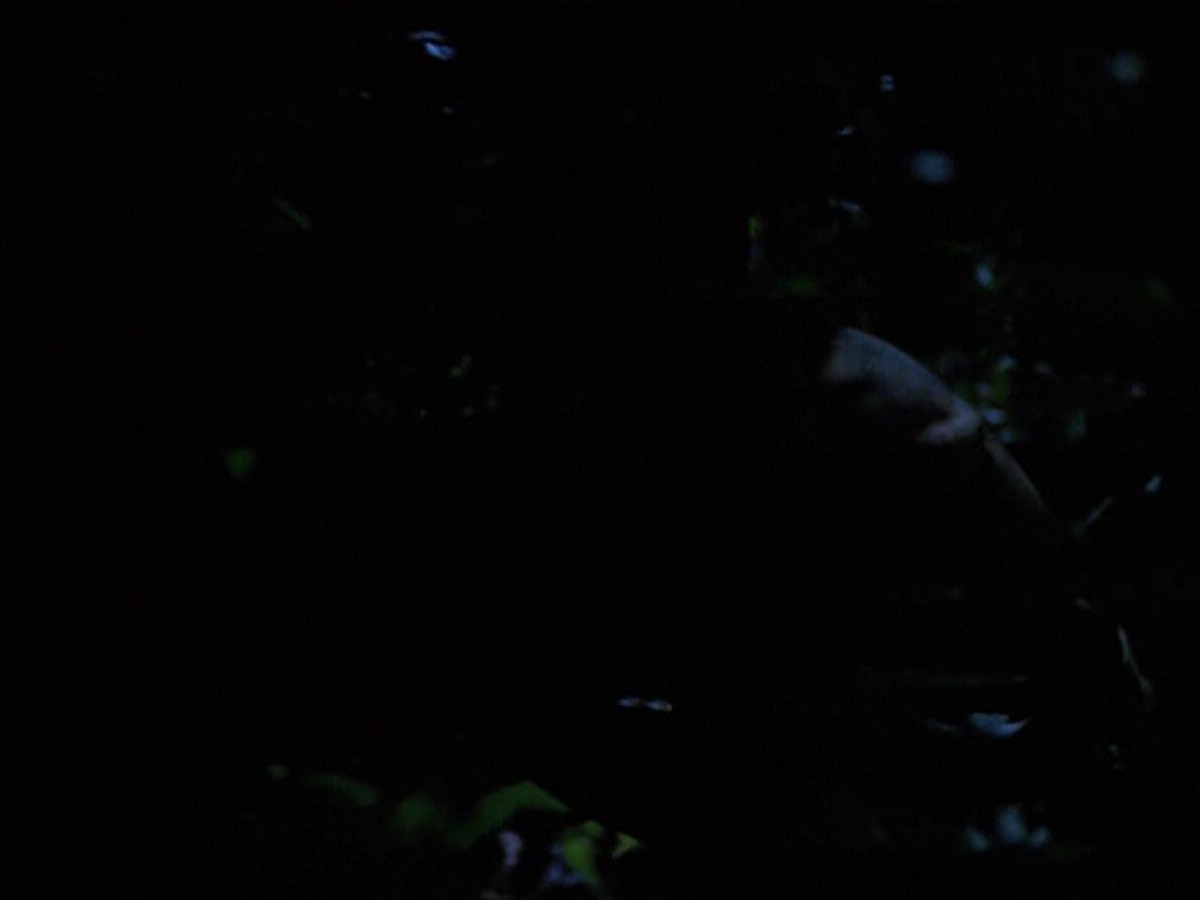 extant_StarTrekVoyager_4x04-Nemesis_0070.jpg