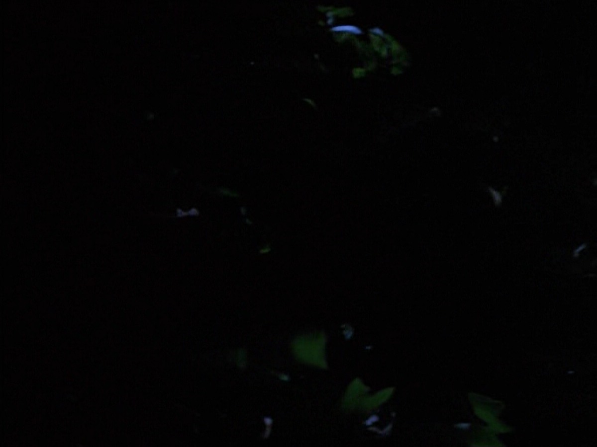 extant_StarTrekVoyager_4x04-Nemesis_0071.jpg