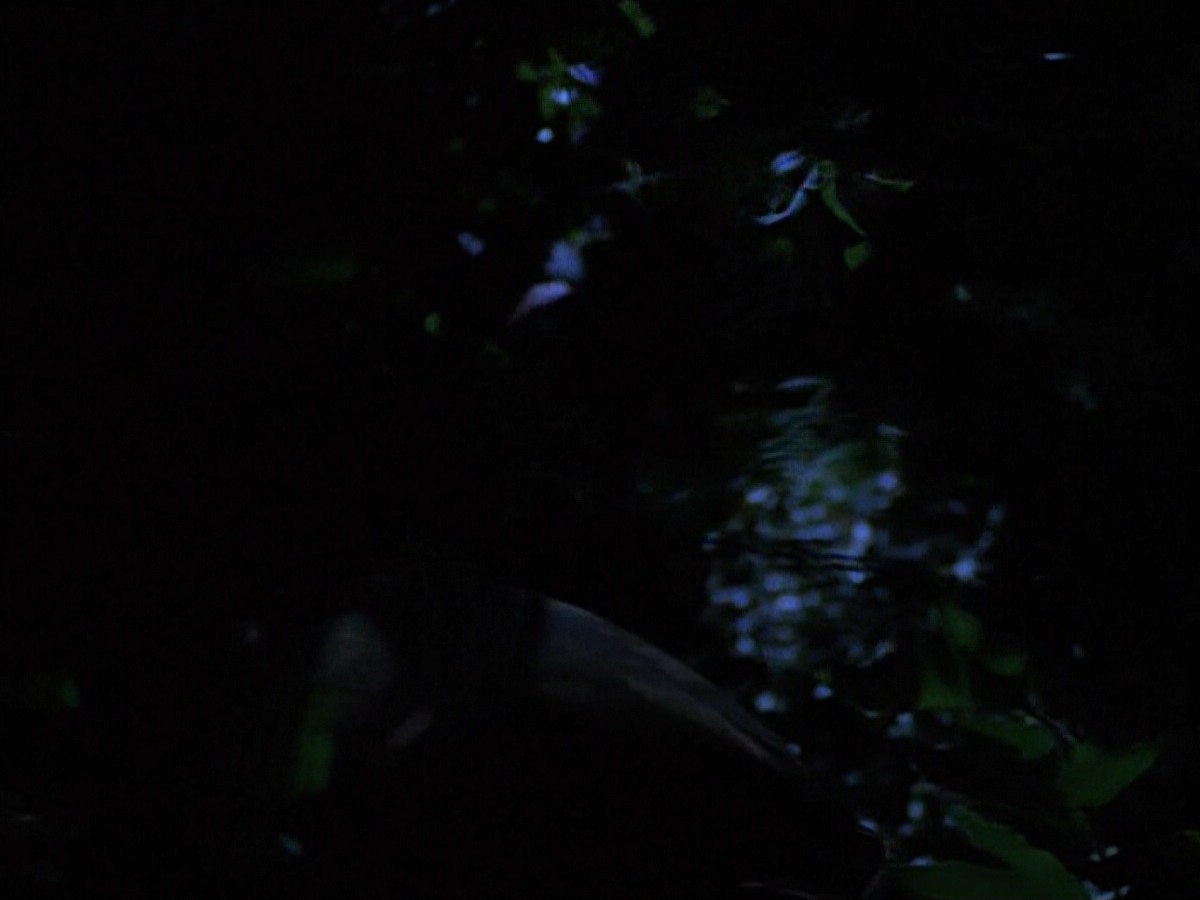 extant_StarTrekVoyager_4x04-Nemesis_0073.jpg