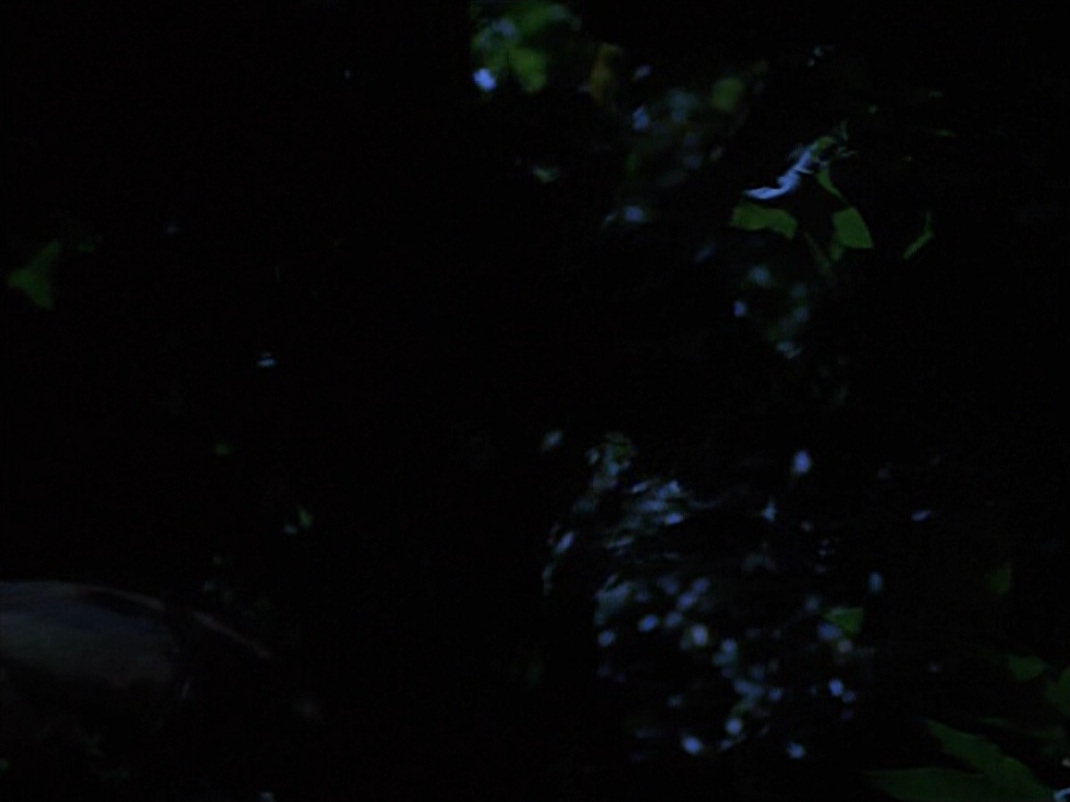 extant_StarTrekVoyager_4x04-Nemesis_0074.jpg