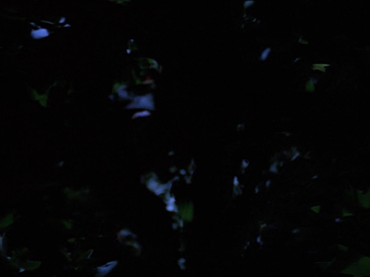 extant_StarTrekVoyager_4x04-Nemesis_0075.jpg