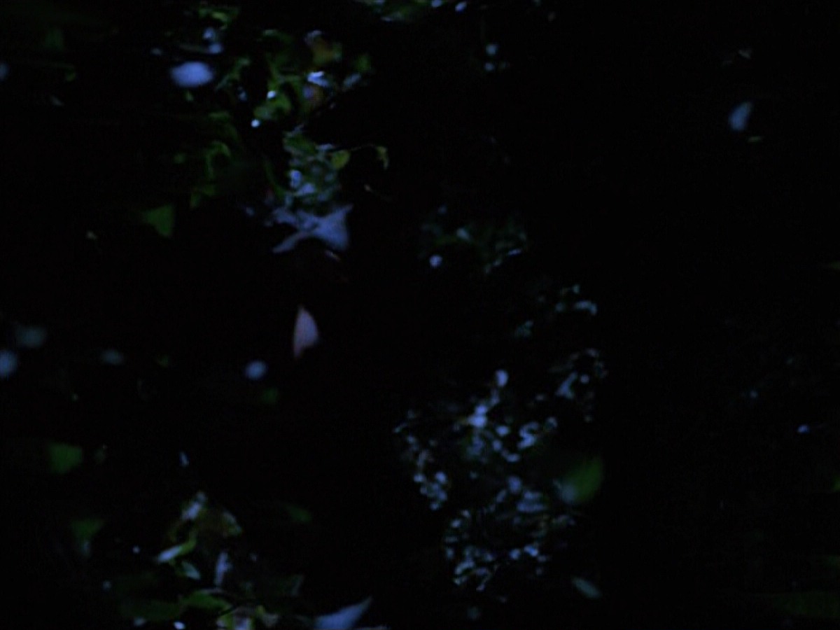 extant_StarTrekVoyager_4x04-Nemesis_0076.jpg