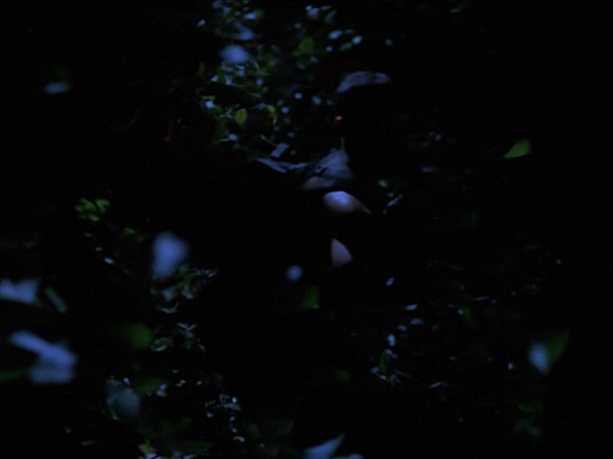 extant_StarTrekVoyager_4x04-Nemesis_0077.jpg