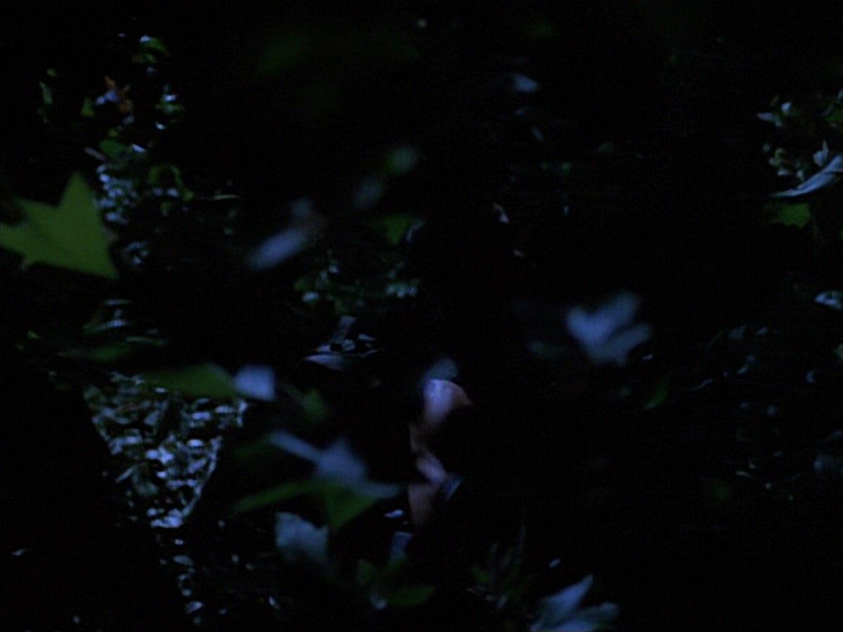 extant_StarTrekVoyager_4x04-Nemesis_0079.jpg