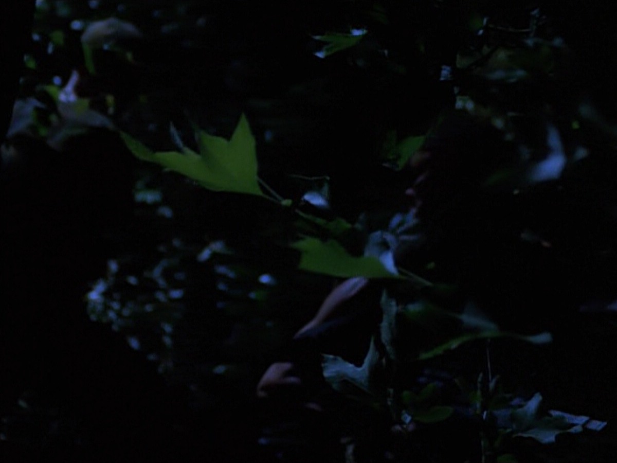 extant_StarTrekVoyager_4x04-Nemesis_0083.jpg