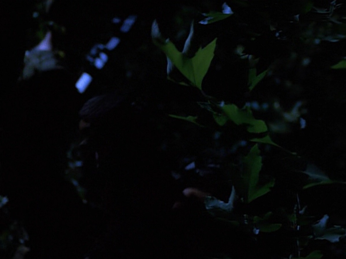 extant_StarTrekVoyager_4x04-Nemesis_0085.jpg