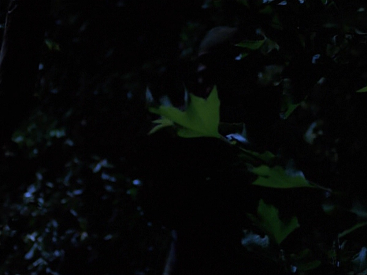extant_StarTrekVoyager_4x04-Nemesis_0087.jpg