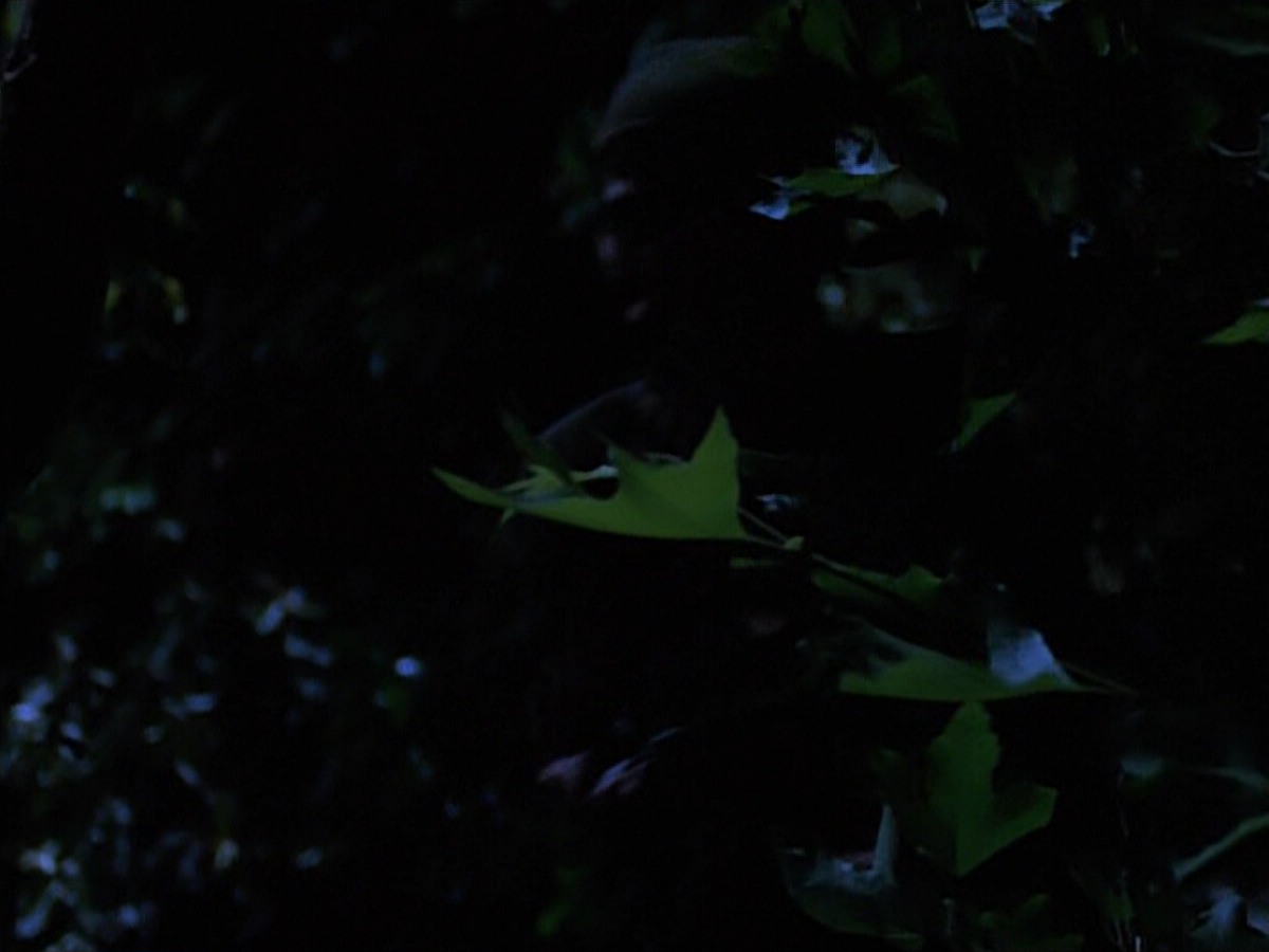 extant_StarTrekVoyager_4x04-Nemesis_0088.jpg