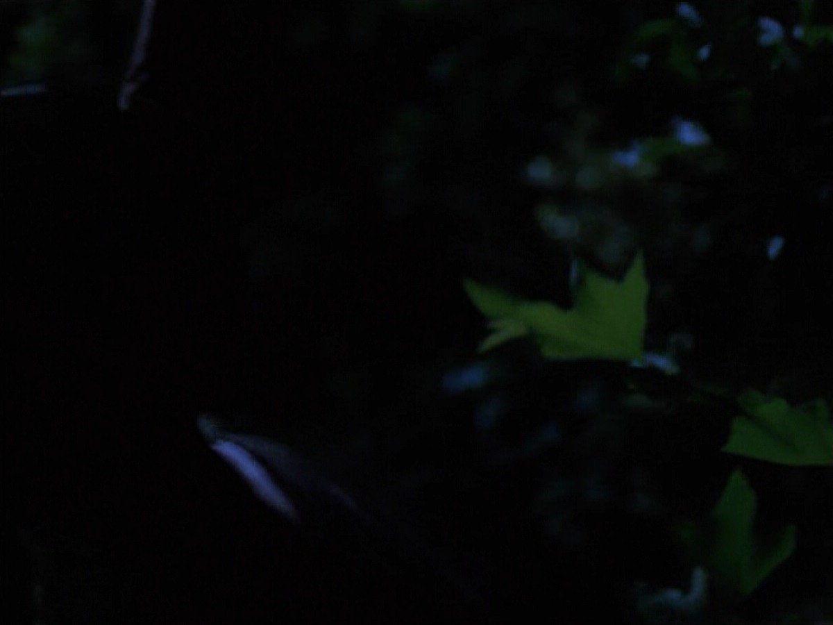 extant_StarTrekVoyager_4x04-Nemesis_0090.jpg