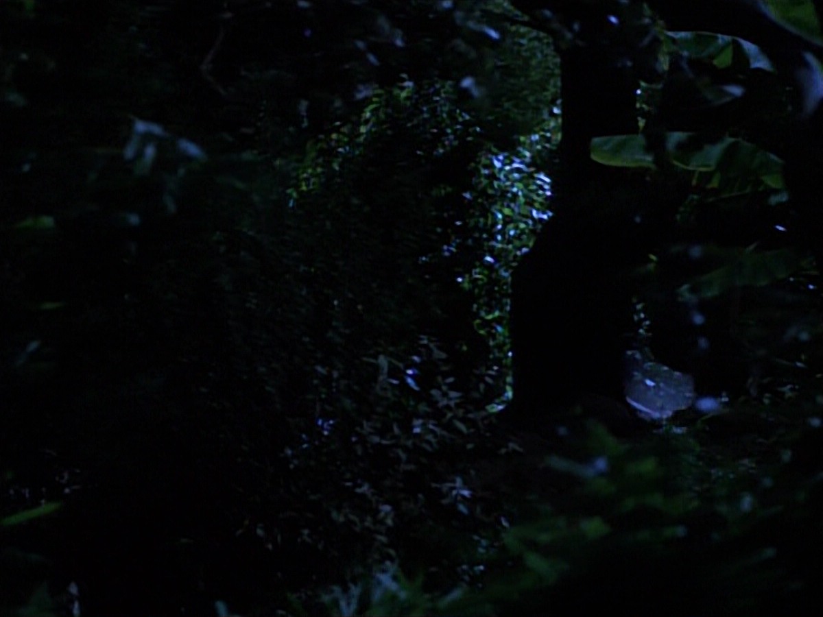 extant_StarTrekVoyager_4x04-Nemesis_0093.jpg