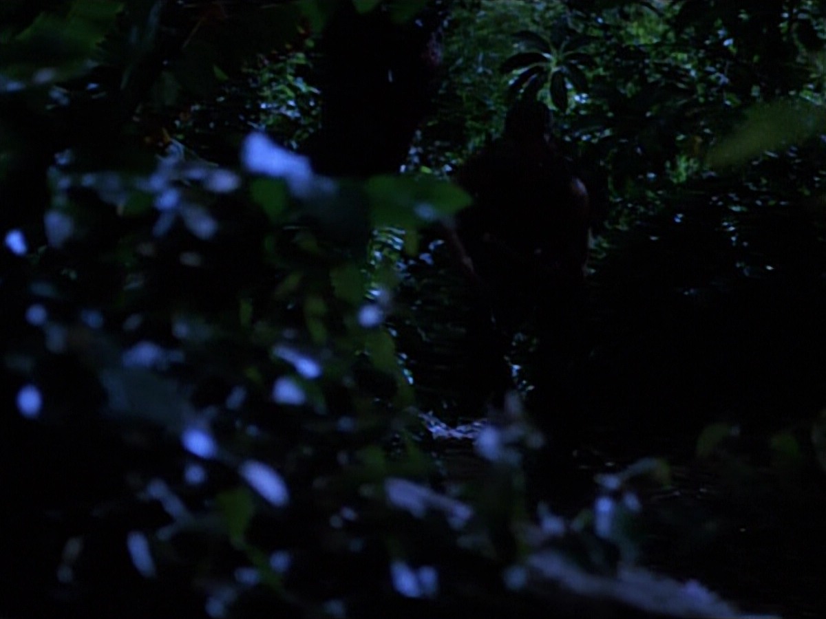extant_StarTrekVoyager_4x04-Nemesis_0104.jpg