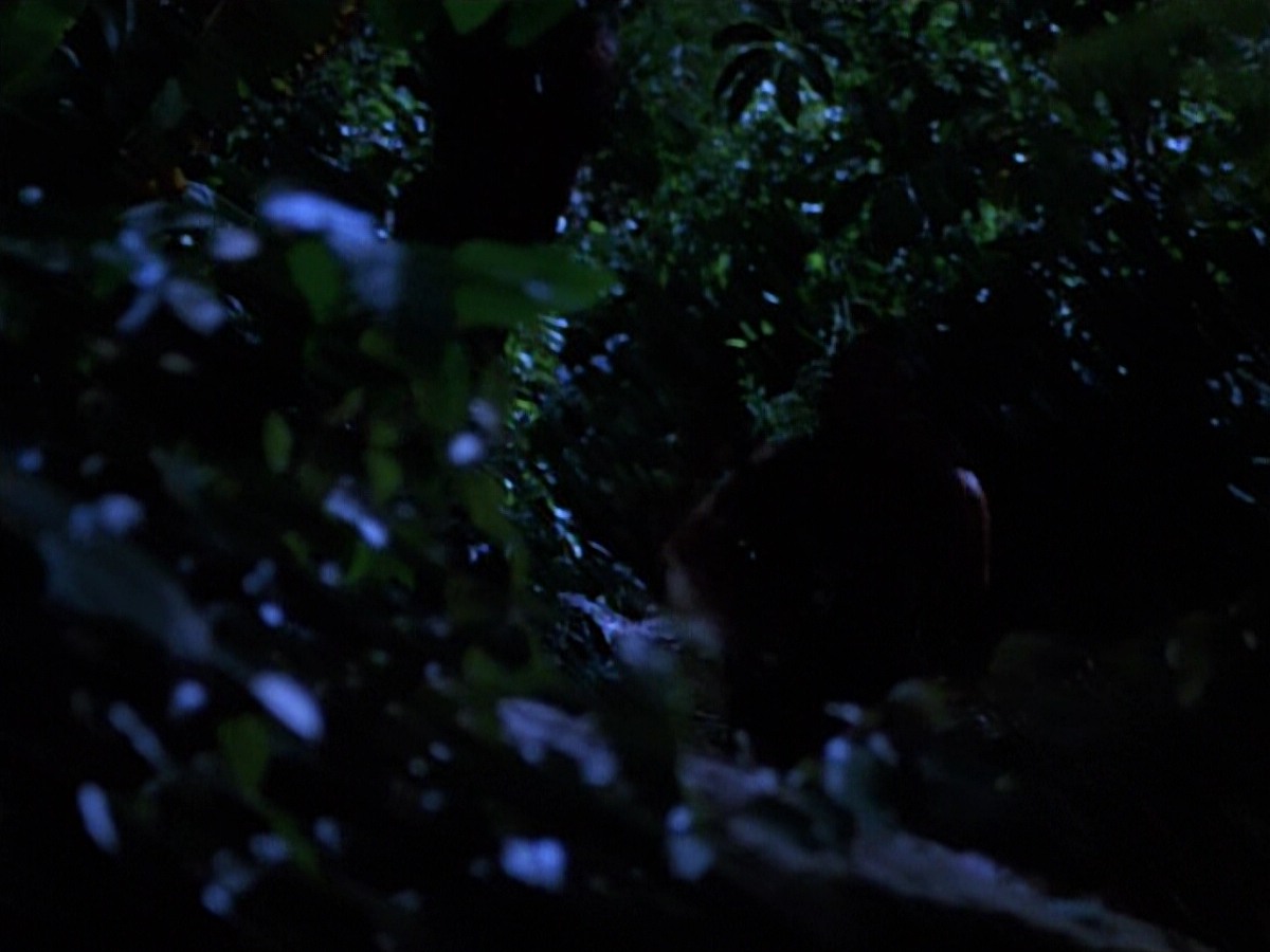 extant_StarTrekVoyager_4x04-Nemesis_0105.jpg