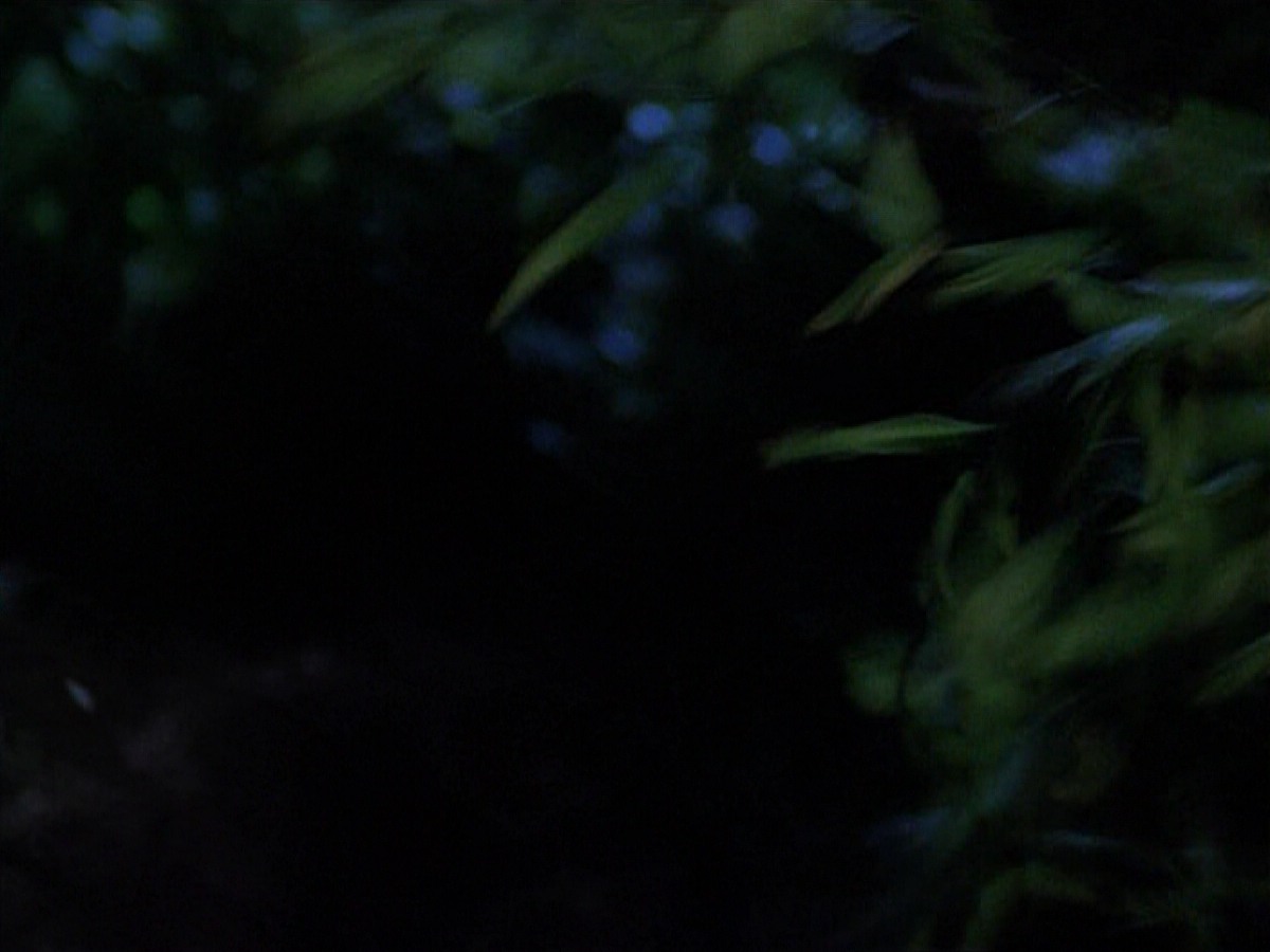 extant_StarTrekVoyager_4x04-Nemesis_0110.jpg