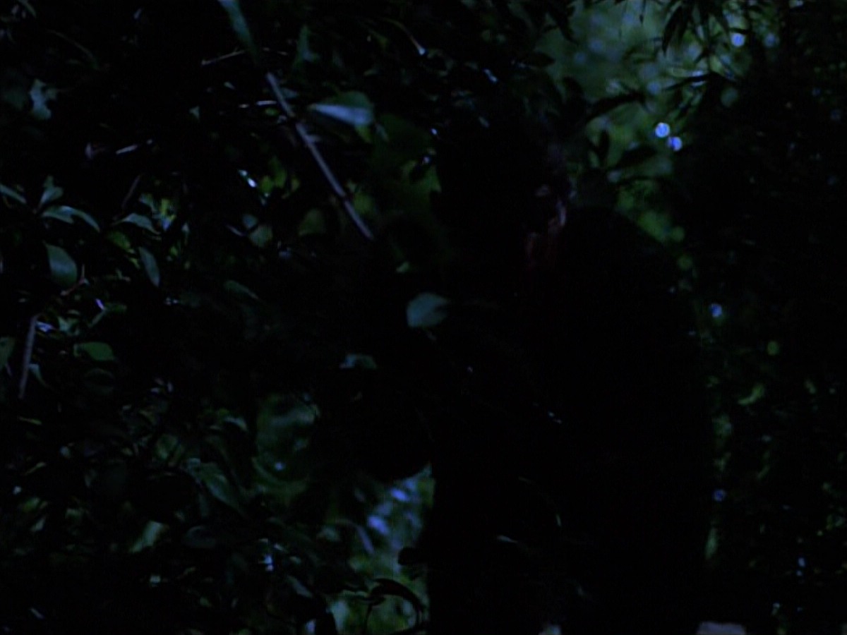 extant_StarTrekVoyager_4x04-Nemesis_0115.jpg