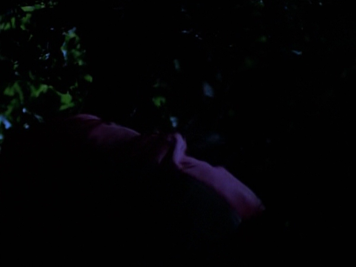 extant_StarTrekVoyager_4x04-Nemesis_0119.jpg