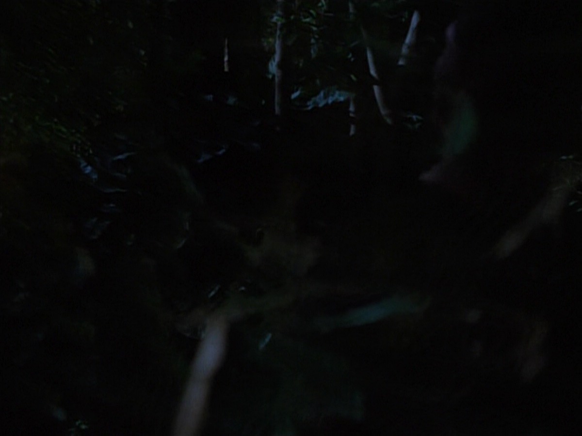 extant_StarTrekVoyager_4x04-Nemesis_0324.jpg
