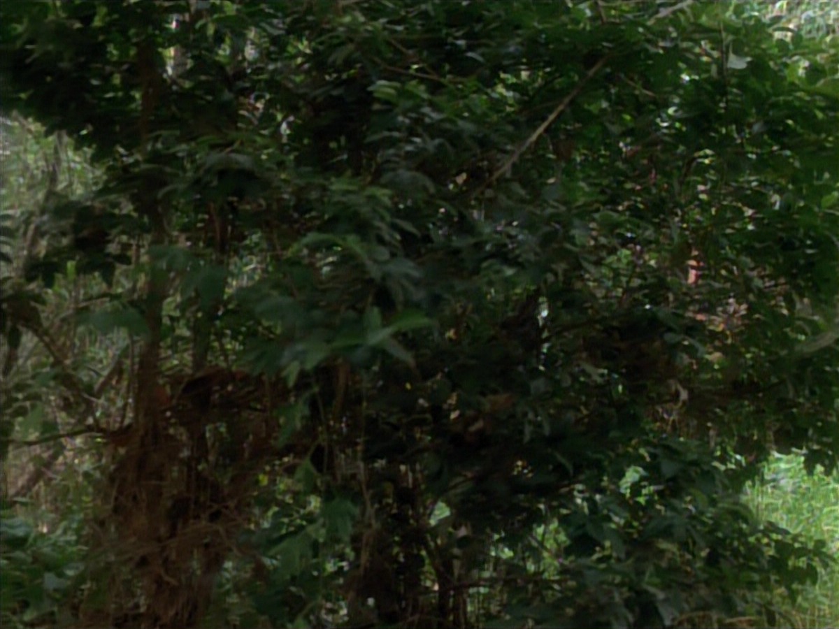 extant_StarTrekVoyager_4x04-Nemesis_4398.jpg