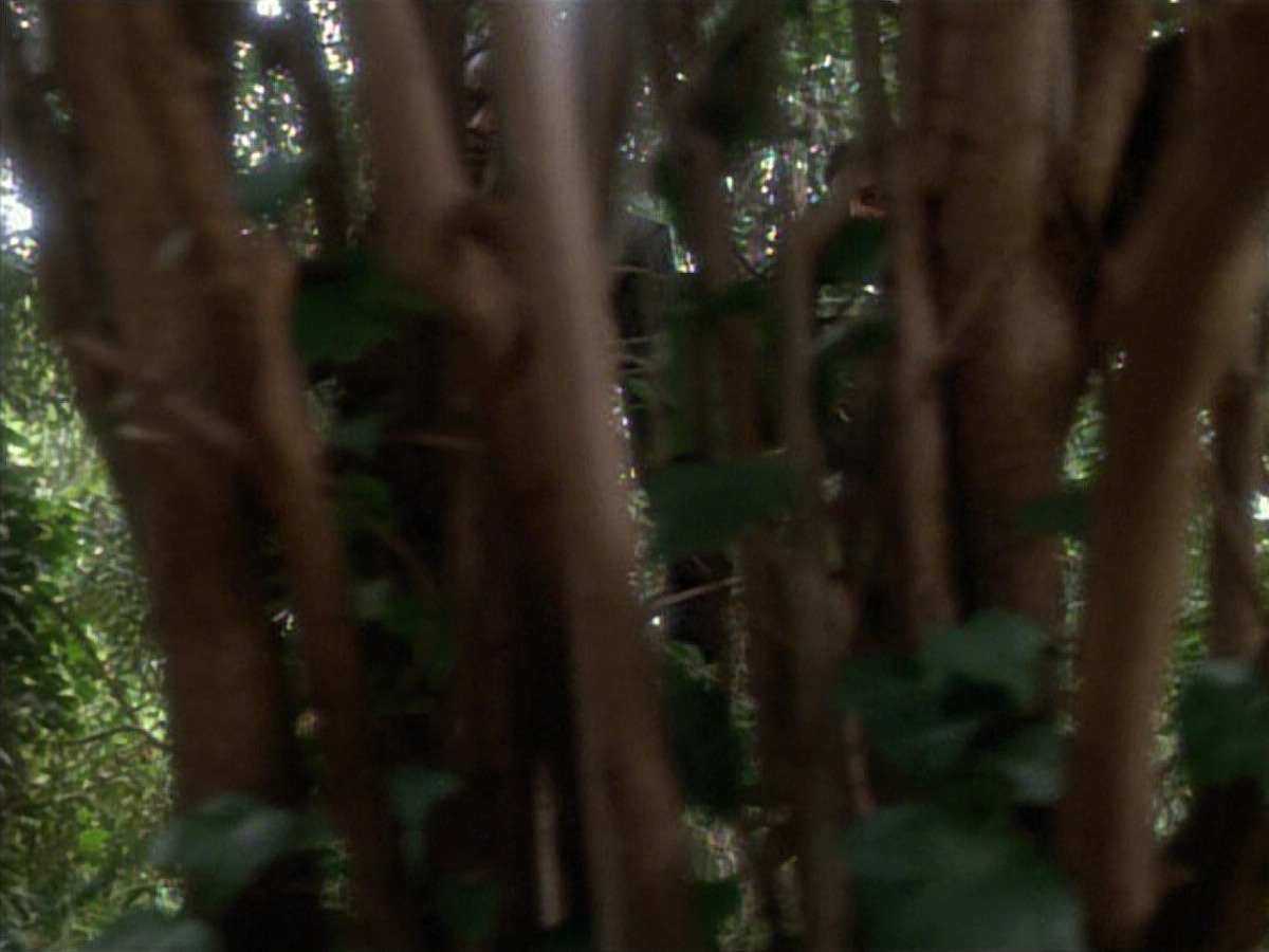 extant_StarTrekVoyager_4x04-Nemesis_4412.jpg