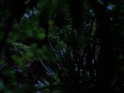 Filename=extant_StarTrekVoyager_4x04-Nemesis_0005.jpg
Filesize=115KiB
Dimensions=1200x900
Date added=May 30, 2018 extant_StarTrekVoyager_4x04-Nemesis_0005.jpg