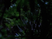 Filename=extant_StarTrekVoyager_4x04-Nemesis_0006.jpg
Filesize=119KiB
Dimensions=1200x900
Date added=May 30, 2018 extant_StarTrekVoyager_4x04-Nemesis_0006.jpg