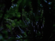 Filename=extant_StarTrekVoyager_4x04-Nemesis_0007.jpg
Filesize=120KiB
Dimensions=1200x900
Date added=May 30, 2018 extant_StarTrekVoyager_4x04-Nemesis_0007.jpg