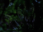 Filename=extant_StarTrekVoyager_4x04-Nemesis_0008.jpg
Filesize=115KiB
Dimensions=1200x900
Date added=May 30, 2018 extant_StarTrekVoyager_4x04-Nemesis_0008.jpg