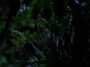 Filename=extant_StarTrekVoyager_4x04-Nemesis_0009.jpg
Filesize=113KiB
Dimensions=1200x900
Date added=May 30, 2018 extant_StarTrekVoyager_4x04-Nemesis_0009.jpg