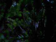 Filename=extant_StarTrekVoyager_4x04-Nemesis_0010.jpg
Filesize=115KiB
Dimensions=1200x900
Date added=May 30, 2018 extant_StarTrekVoyager_4x04-Nemesis_0010.jpg